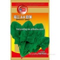 High Quality Chinese Spinach Seeds Leafy Vegetable Seeds For Planting-Netherlands Big Spinach